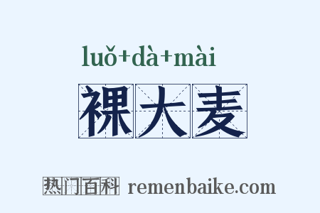 裸大麦是什么意思的图片